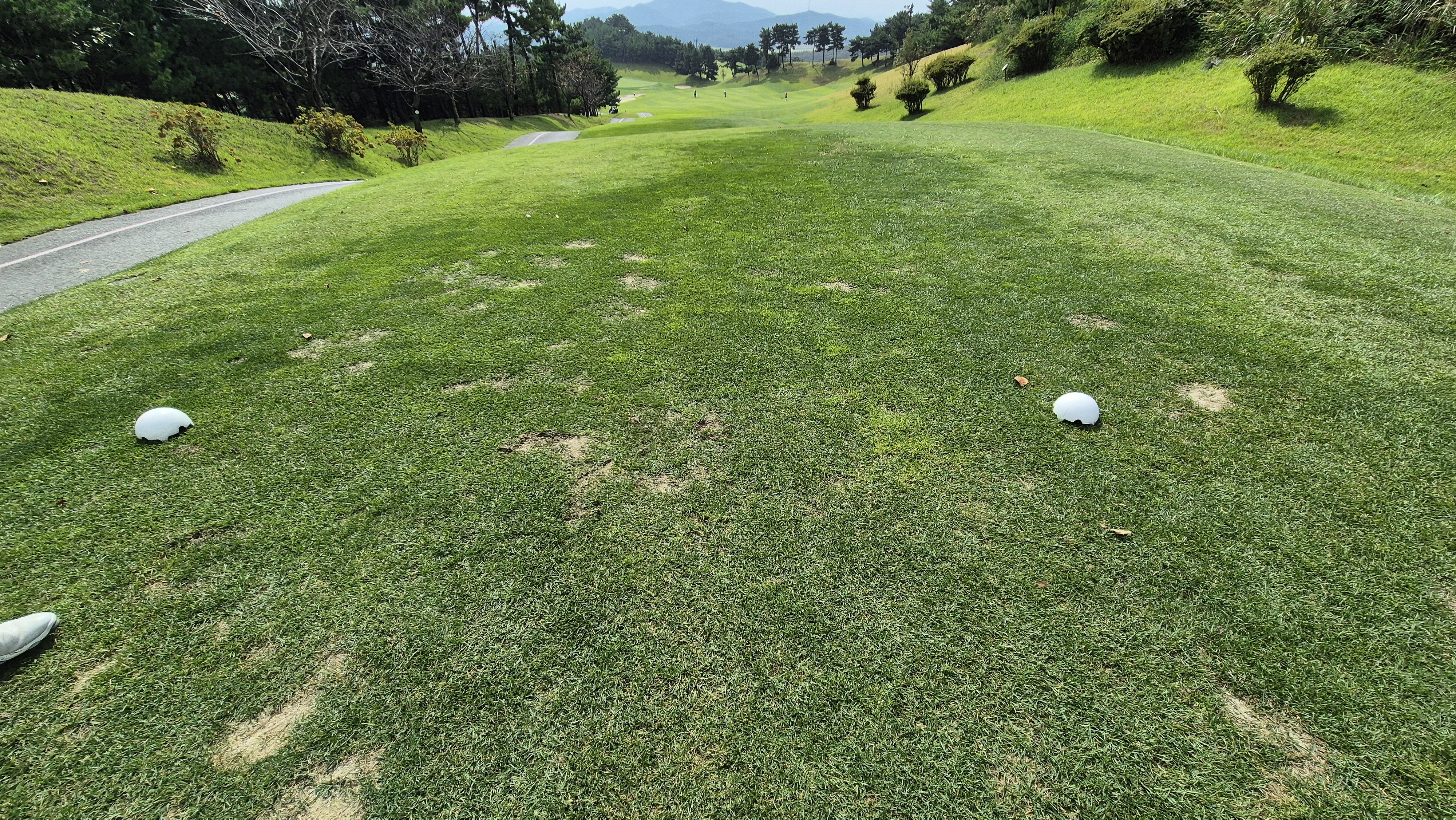 서산수cc 티잉구역 상태