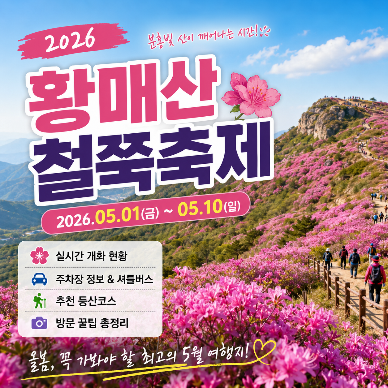 2026 황매산 철쭉축제 완벽가이드