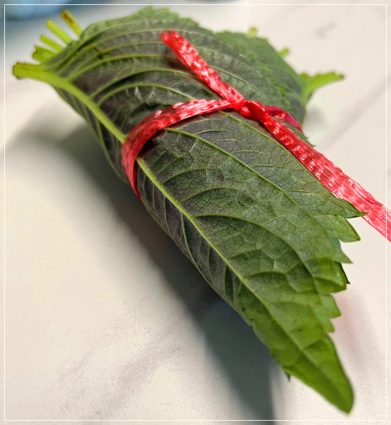 깻잎