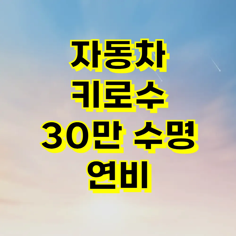 자동차 키로수 30만 수명 연비