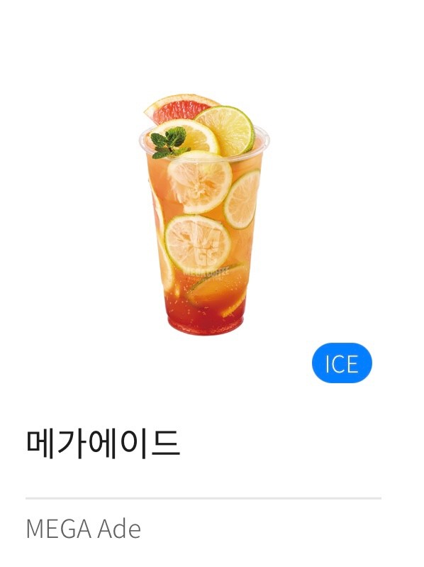 2024 메가커피 베스트 추천 메뉴 가격 총정리 주변 매장 찾기 메뉴 추천