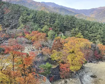 하동 삼성궁_7