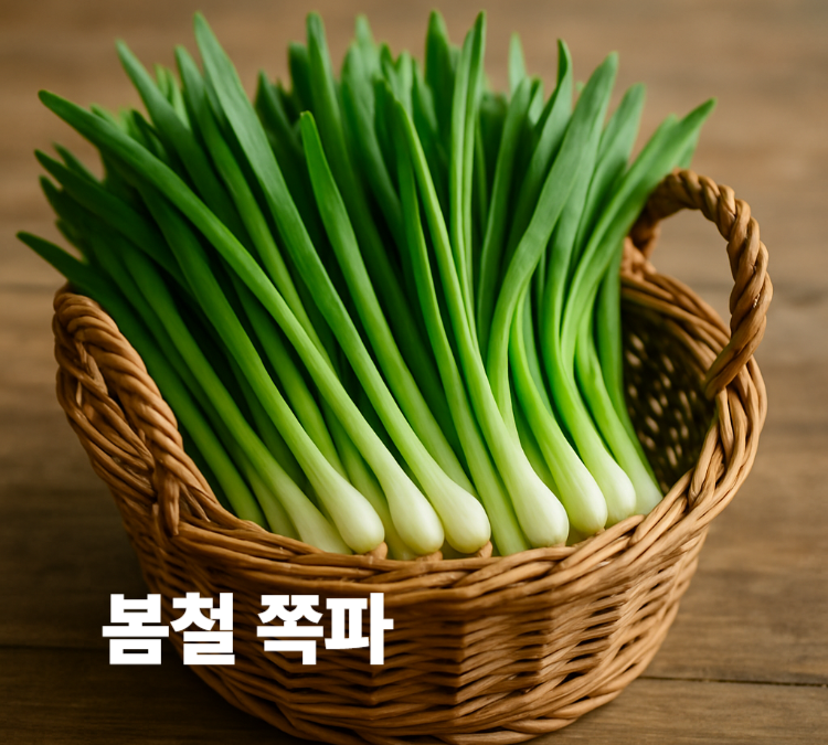 가느다란 초록줄기와 백색경단 아삭한 식감의 봄철 쪽파 효능 영양성분