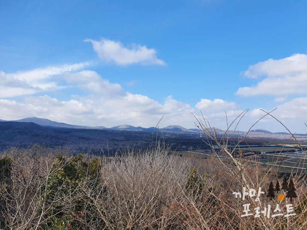 붉은 오름 정상 풍경