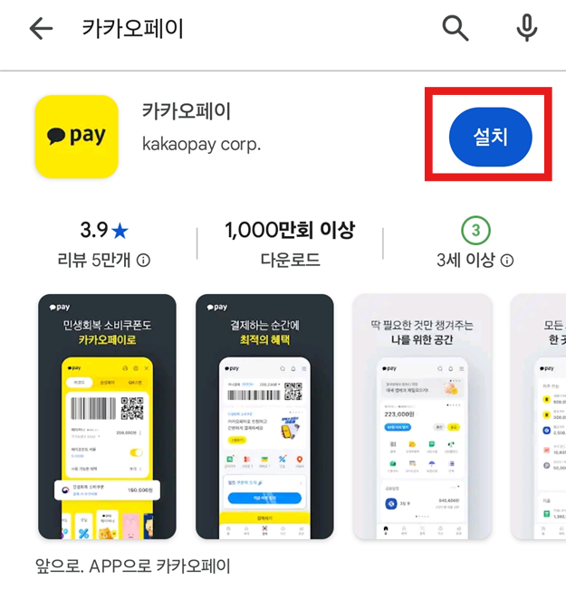 방법 4: 진짜 카카오페이 앱 찾아서 설치하기