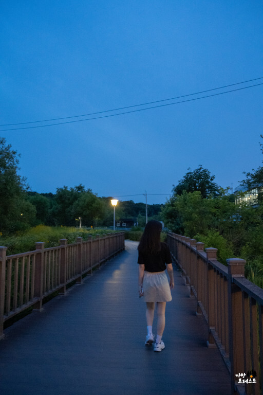 왕송호수 공원 산책로