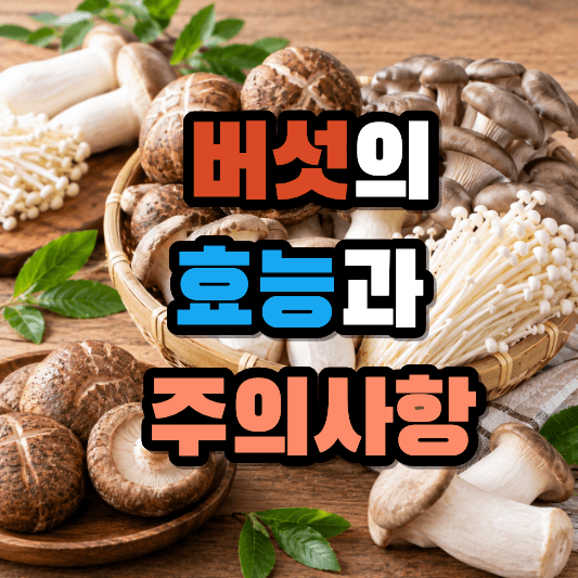 버섯의 효능