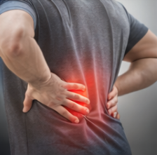 대마 종자유 효능