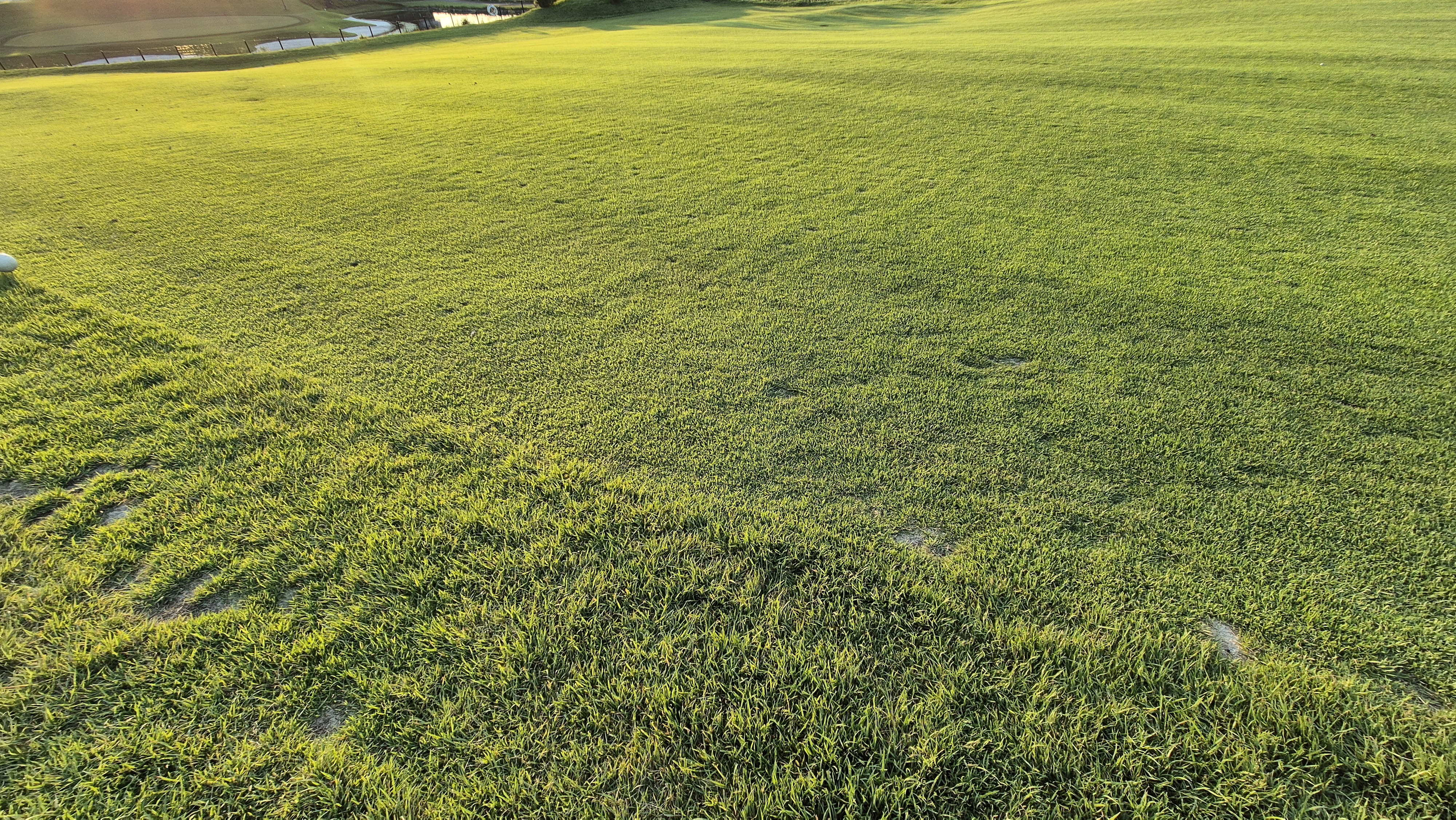 힐데스하임cc 밸리-레이크 코스 라운드 후기