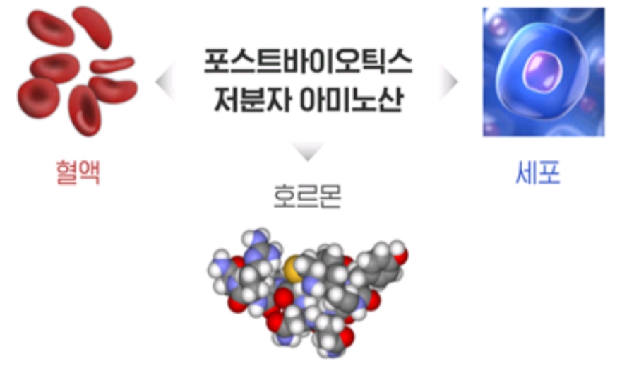  포스트바이오틱스 효능 3
