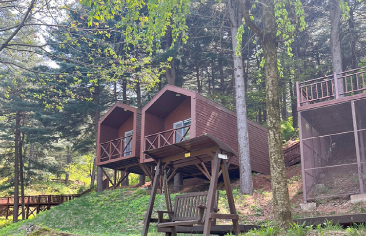 포천 어메이징파크