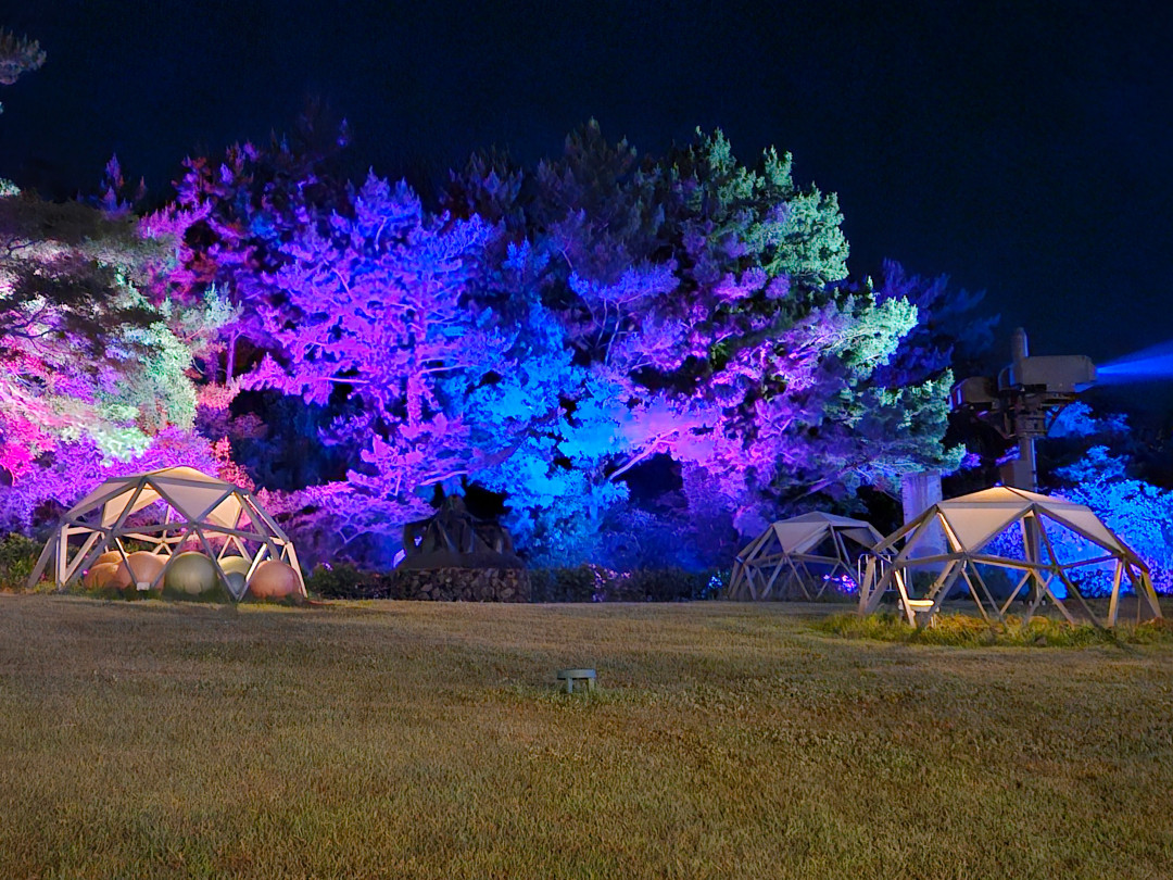 루나폴 야간 산책