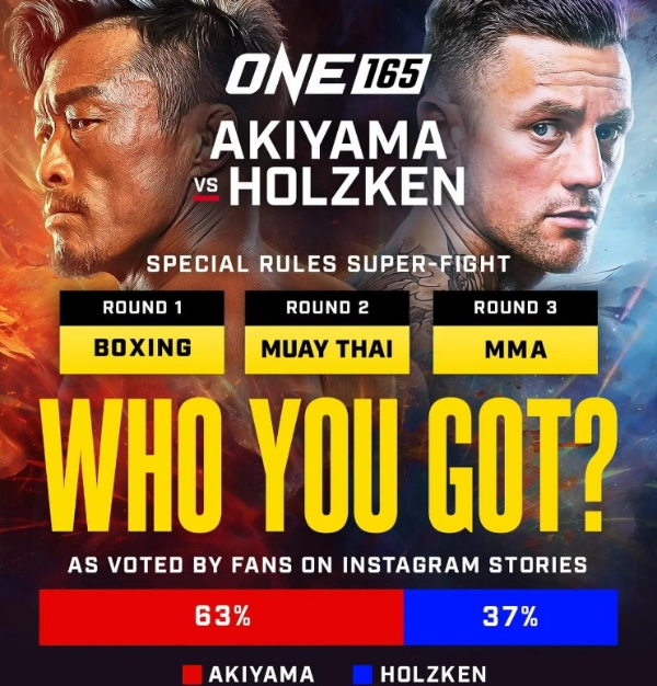 추성훈경기사진