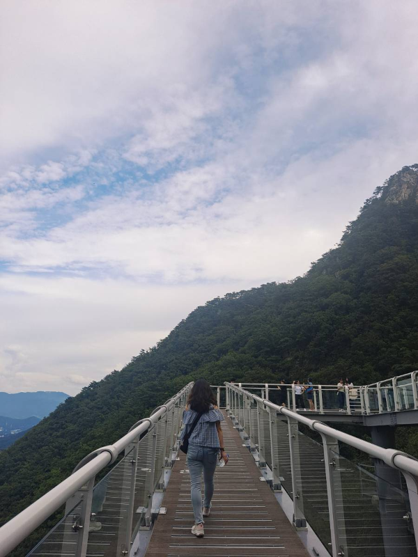 전망대 데크길 둘러보다