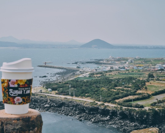 제주도 오션뷰 인생 카페, 추천 카페