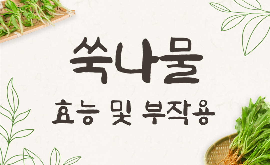 쑥나물 효능과 부작용, 먹는법까지 알아보기