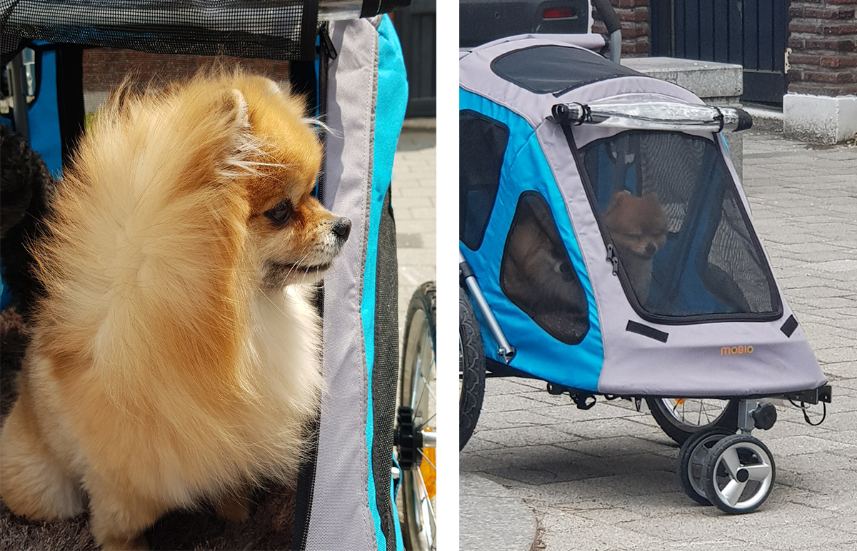 우리 다둥이들이 타고 다니는 유모차
30kg까지 타고 다닐 수 있는 대형 유모차