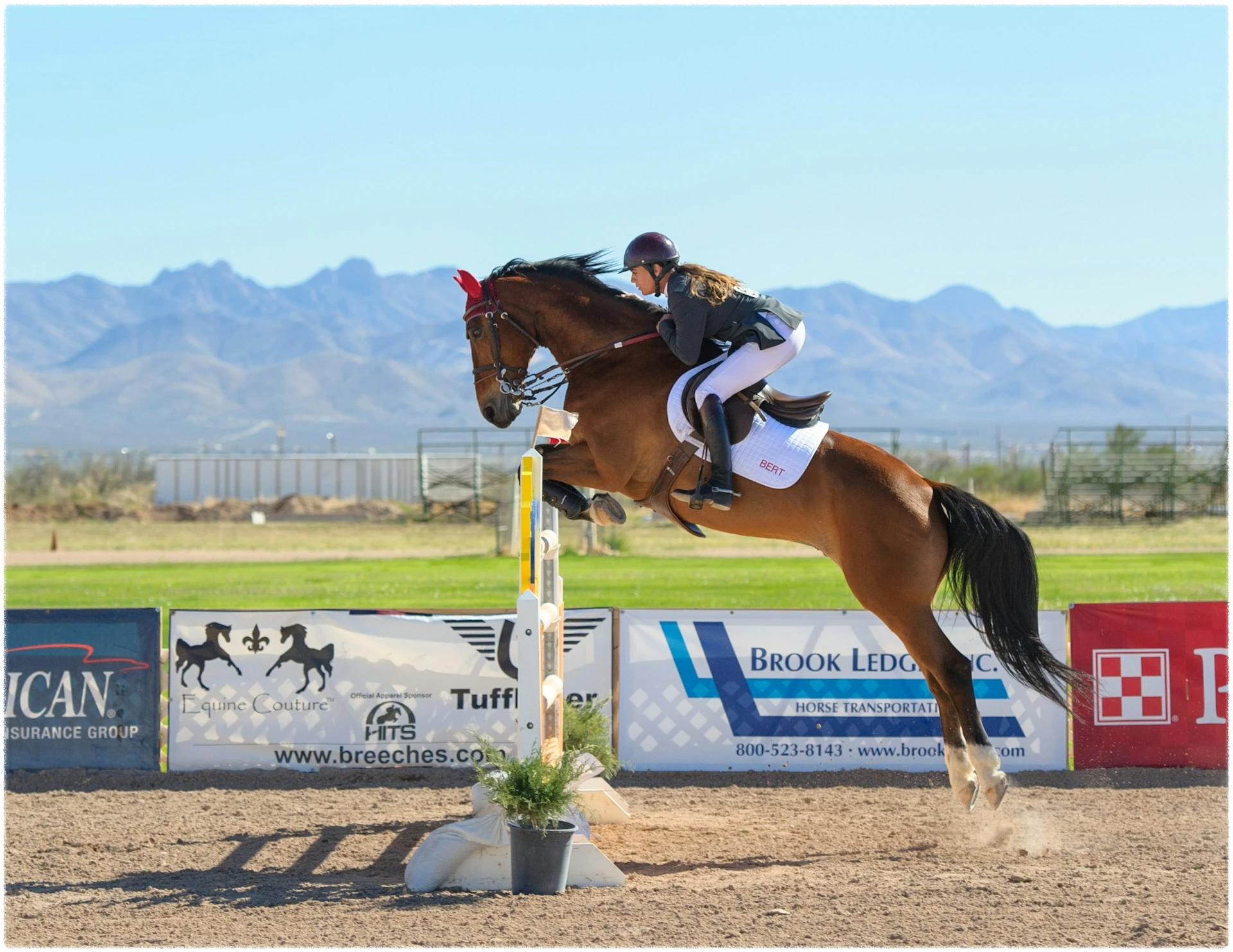 벽을-넘고있는-말