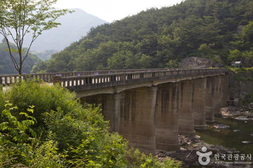 정읍 구절초지방정원
