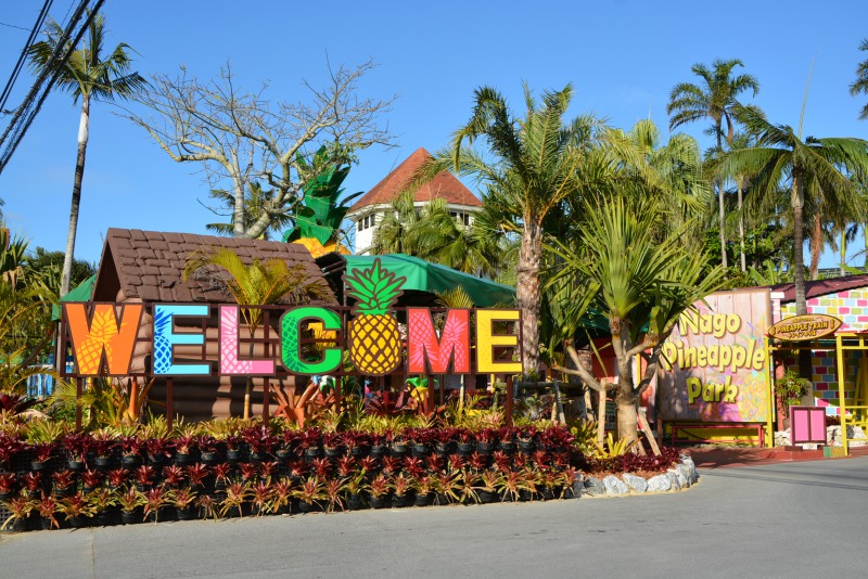 Nago Pineapple Park