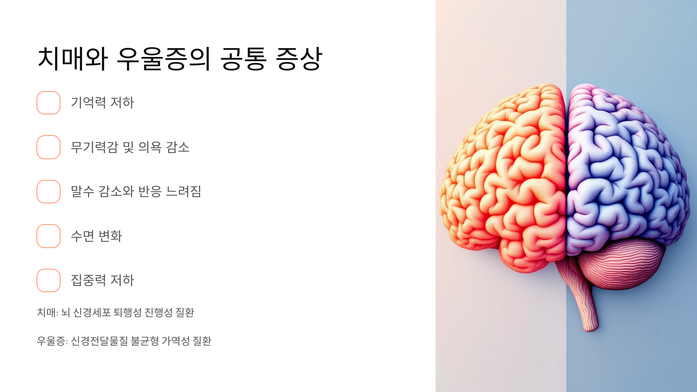 좌뇌 와 우뇌 이미지