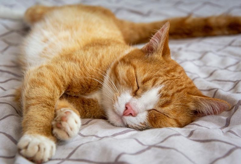 숙면을 취하는 방법