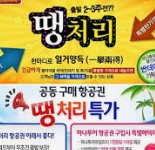 땡처리 항공권