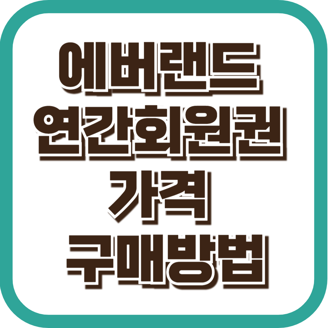 에버랜드 연간회원권