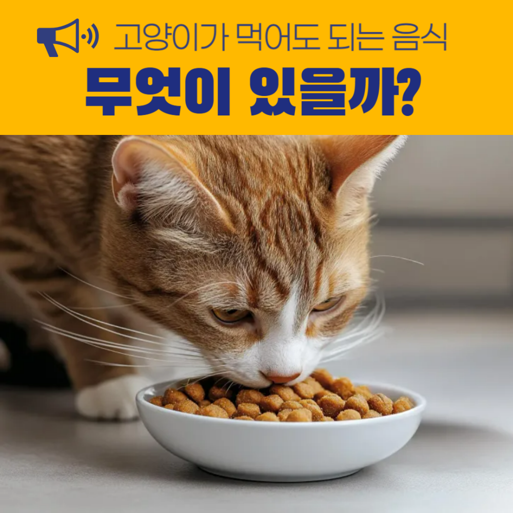 고양이 먹으면 안 되는 음식