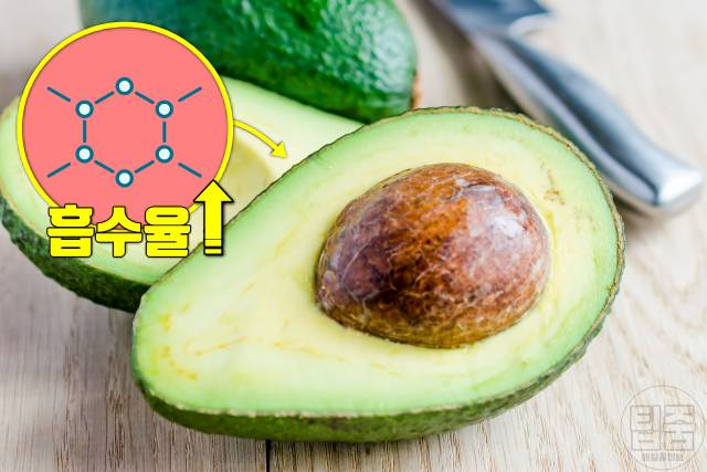 아보카도 매일 먹으면 아보카도 효능 항암 아보카도 1인분