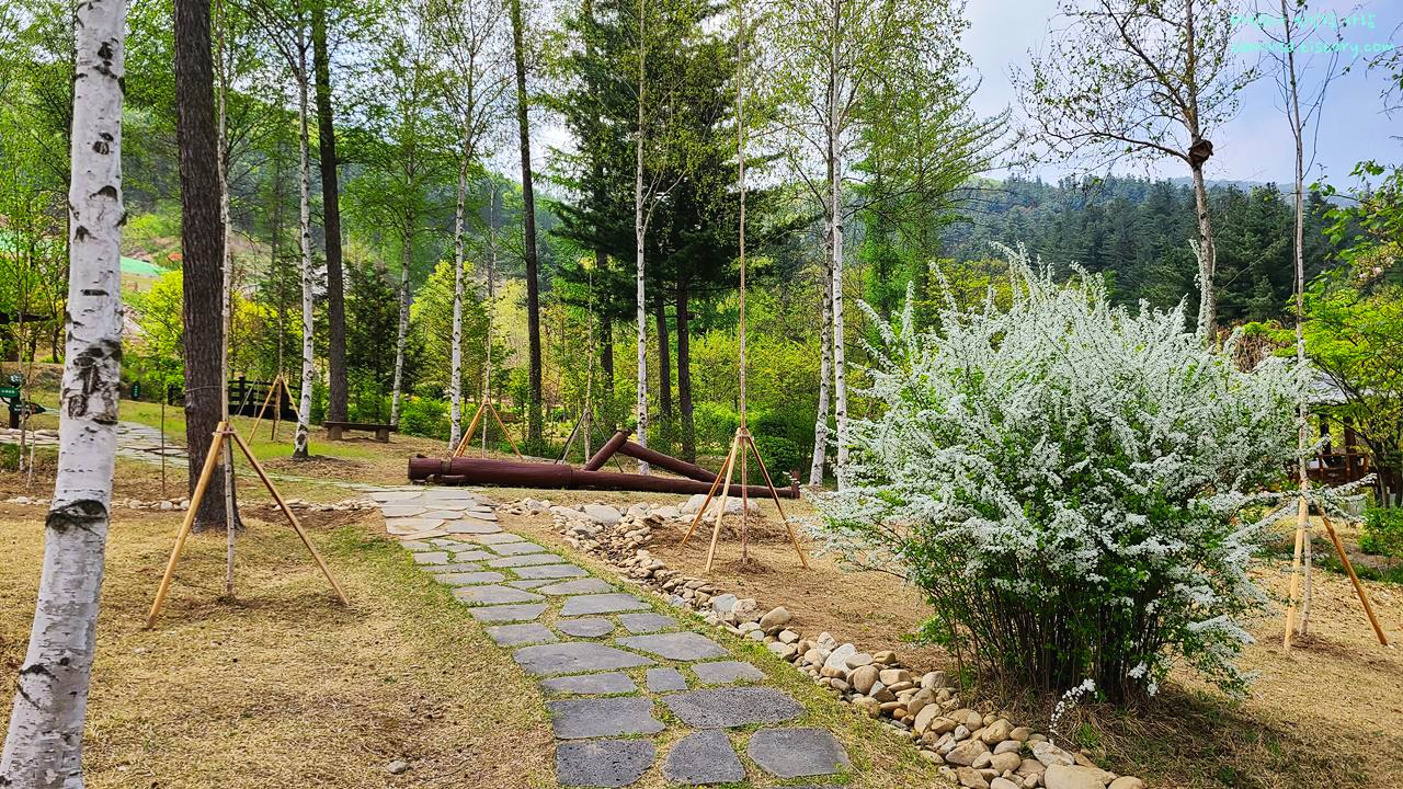 물맑음수목원-식물원