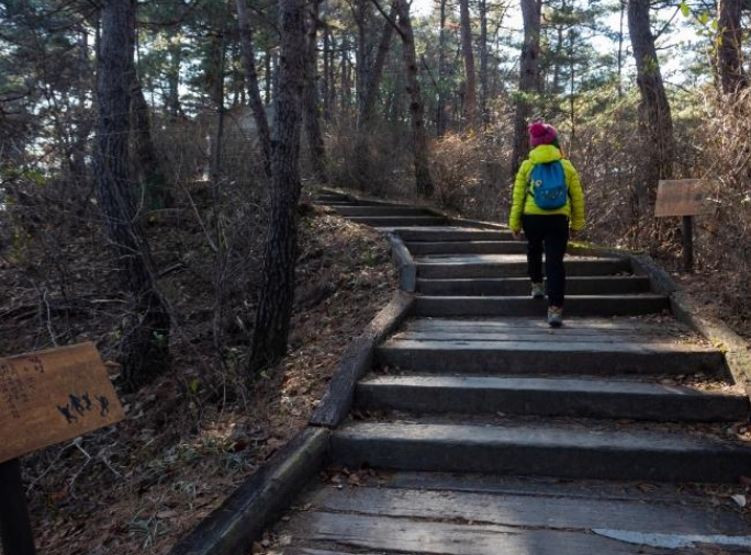 예천 회룡포 관련 사진
