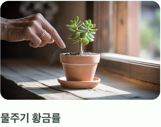 '과습'이라는 치명적인 적을 피하는 법
