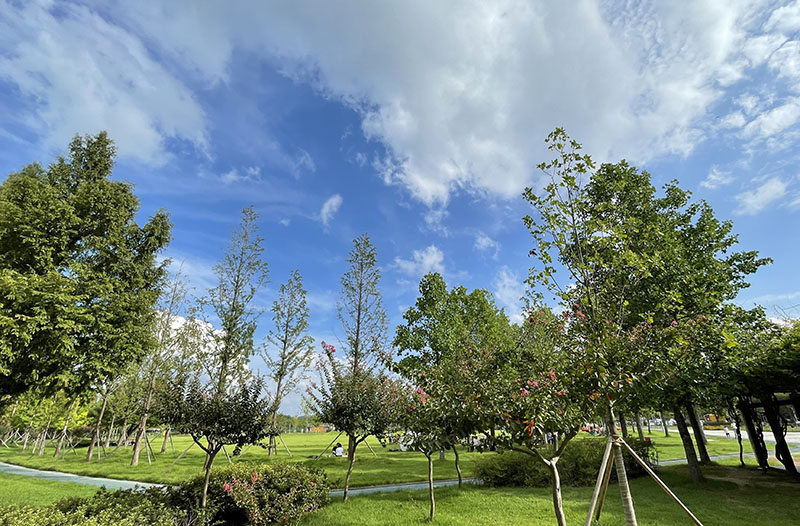 대구 수성구 팔현파크골프장 소개