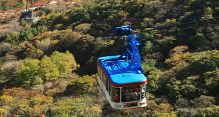 내장산 케이블카