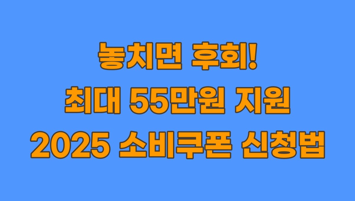 민생회복 소비쿠폰 신청