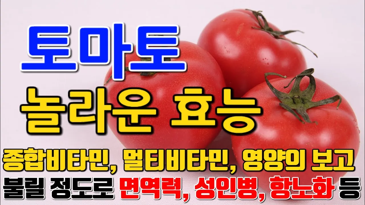 토마토 효능 항산화 작용과 피부건강 효과 정리_5