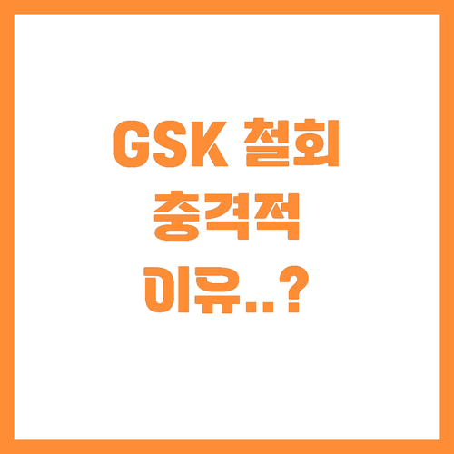 GSK 류코보린 FDA 승인 신청 전..