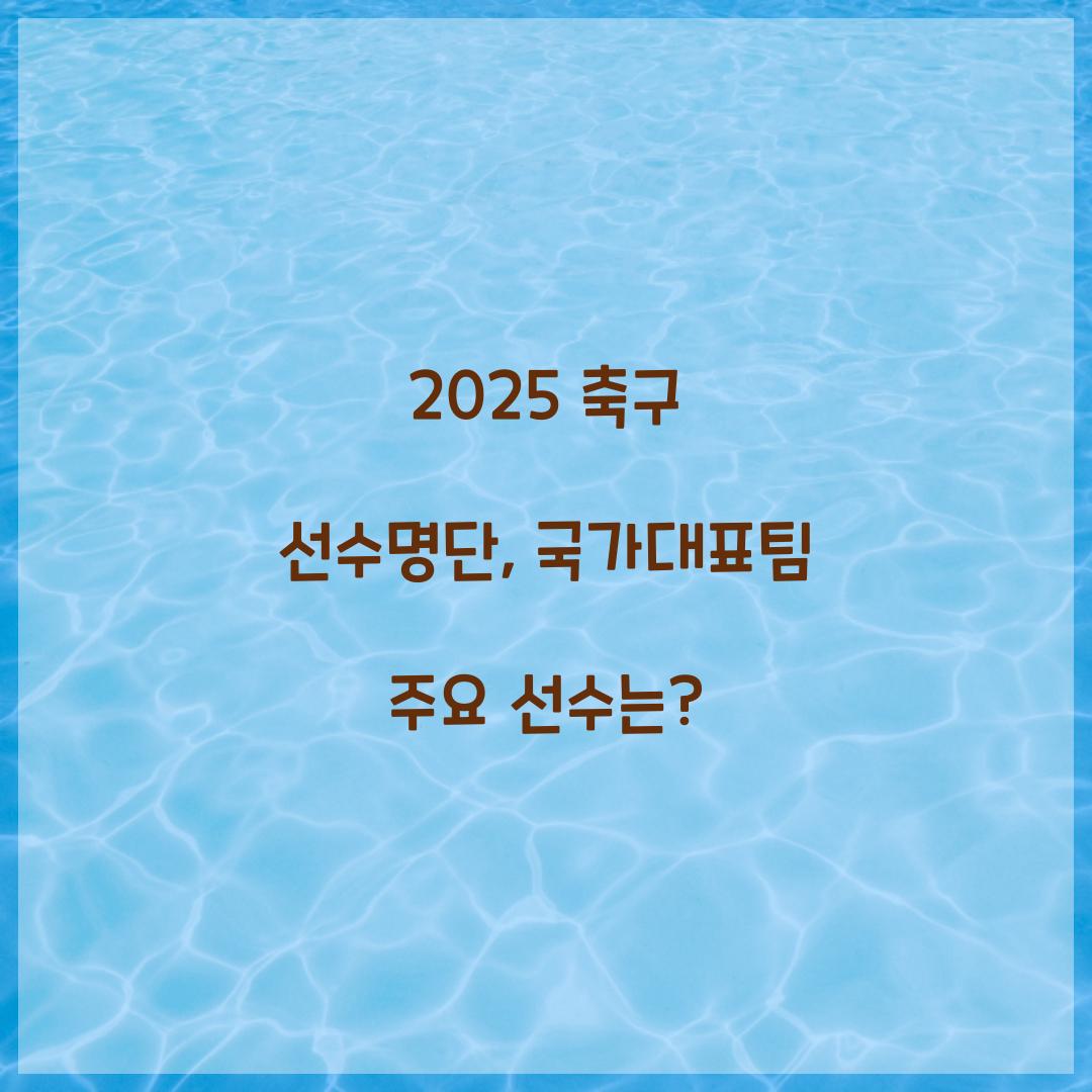 2025 축구 선수명단