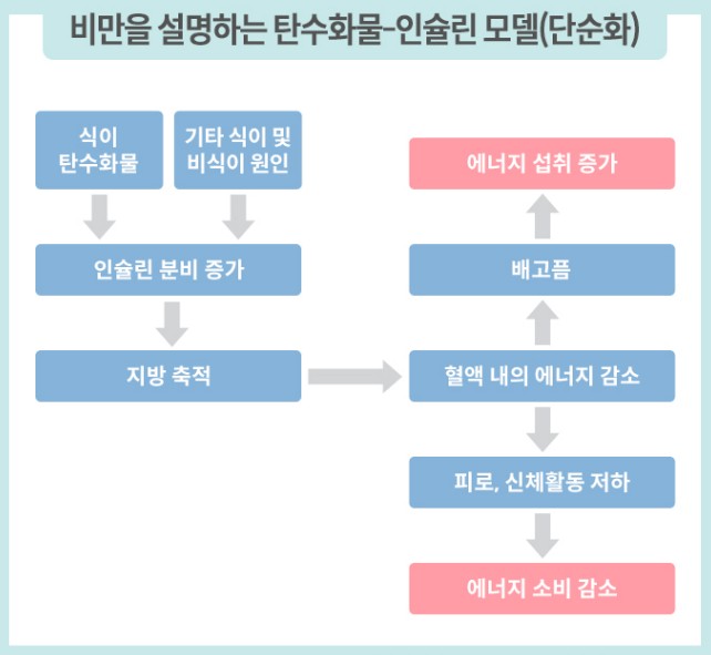 비만관리 - 체질량지수(BMI) 계산기, 살이 찌는 이유, 살빼는 방법