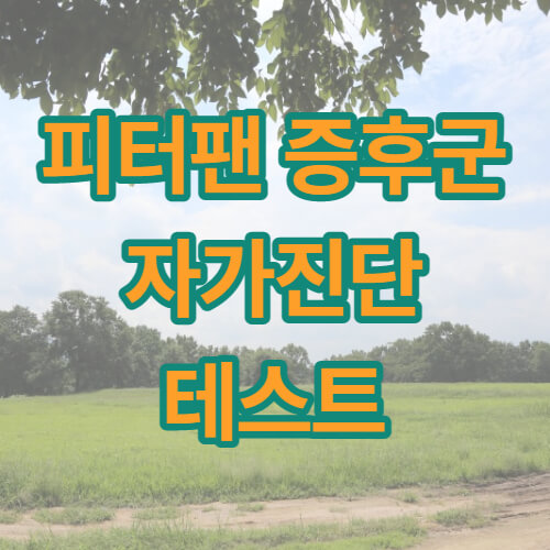 피터팬 증후군 테스트 썸네일