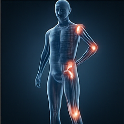 콘드로이친1200mg