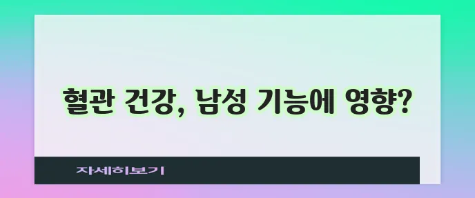 발기부전 음식과 다이어트 정말 도움이 될까요?