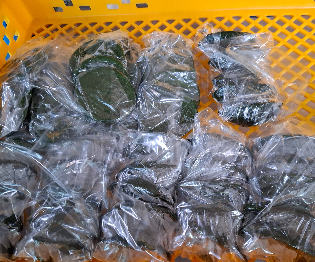 금방 쪄서 나온 모시떡의 종류별로 포장 되어진 모시떡