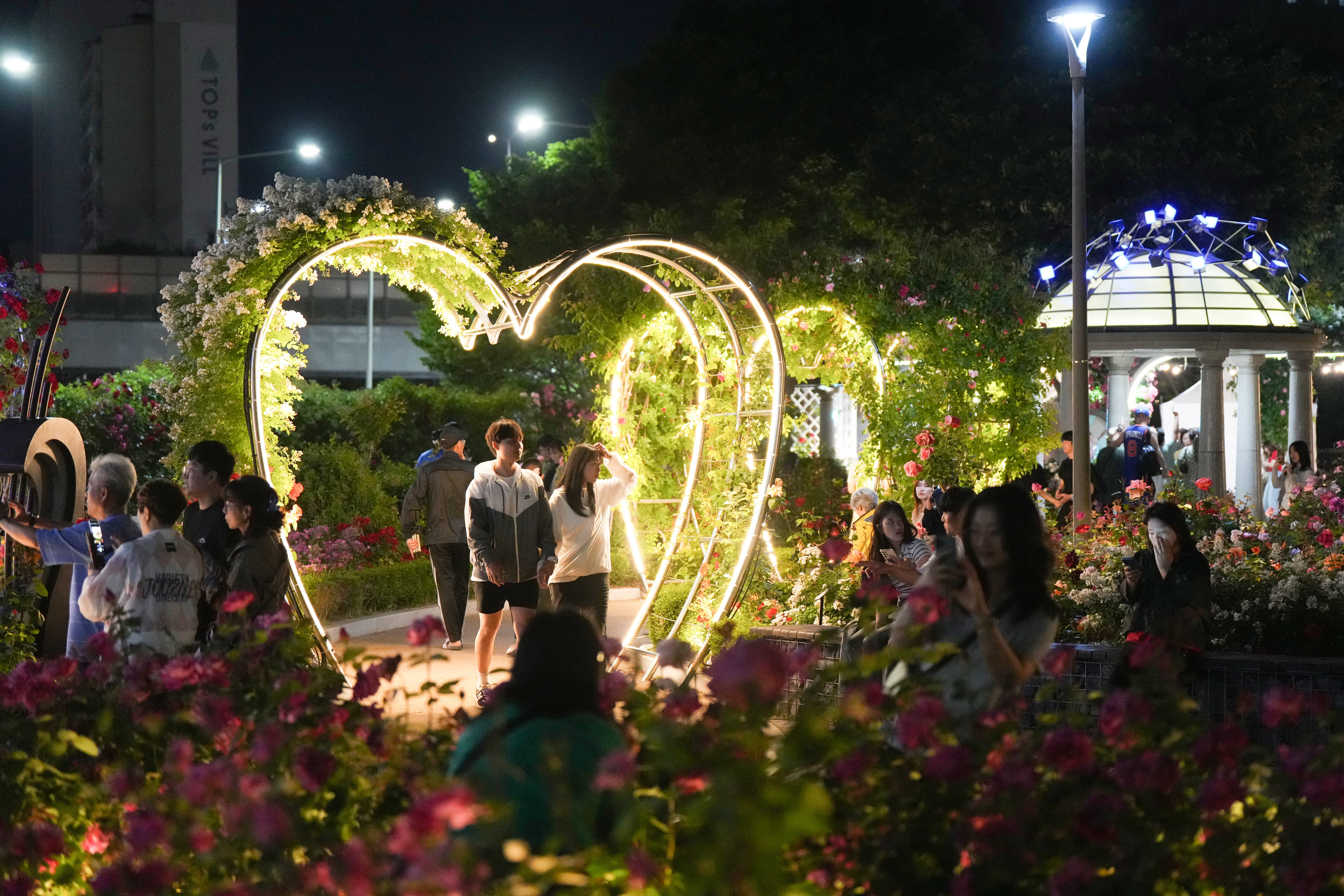 [5월 축제]2025 중랑 서울장미축제❘기간, 일정 및 프로그램, 공연 상세 시간표 정리