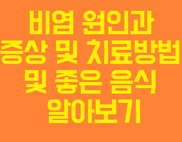 비염의 원인과 증상 및 치료방법 및 좋은 음식 자세히 알아보기
