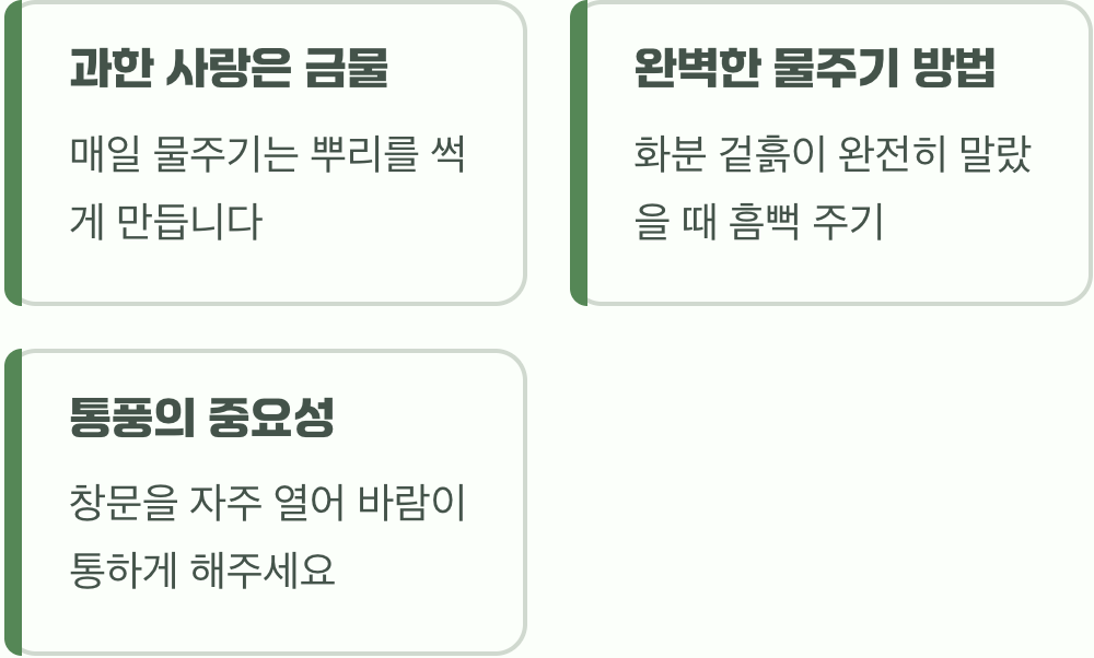 과한 사랑은 금물&amp;#44; 현명한 물주기