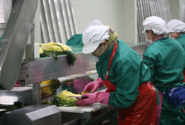 괴산 절임배추20kg 가격비교 카드할인혜택