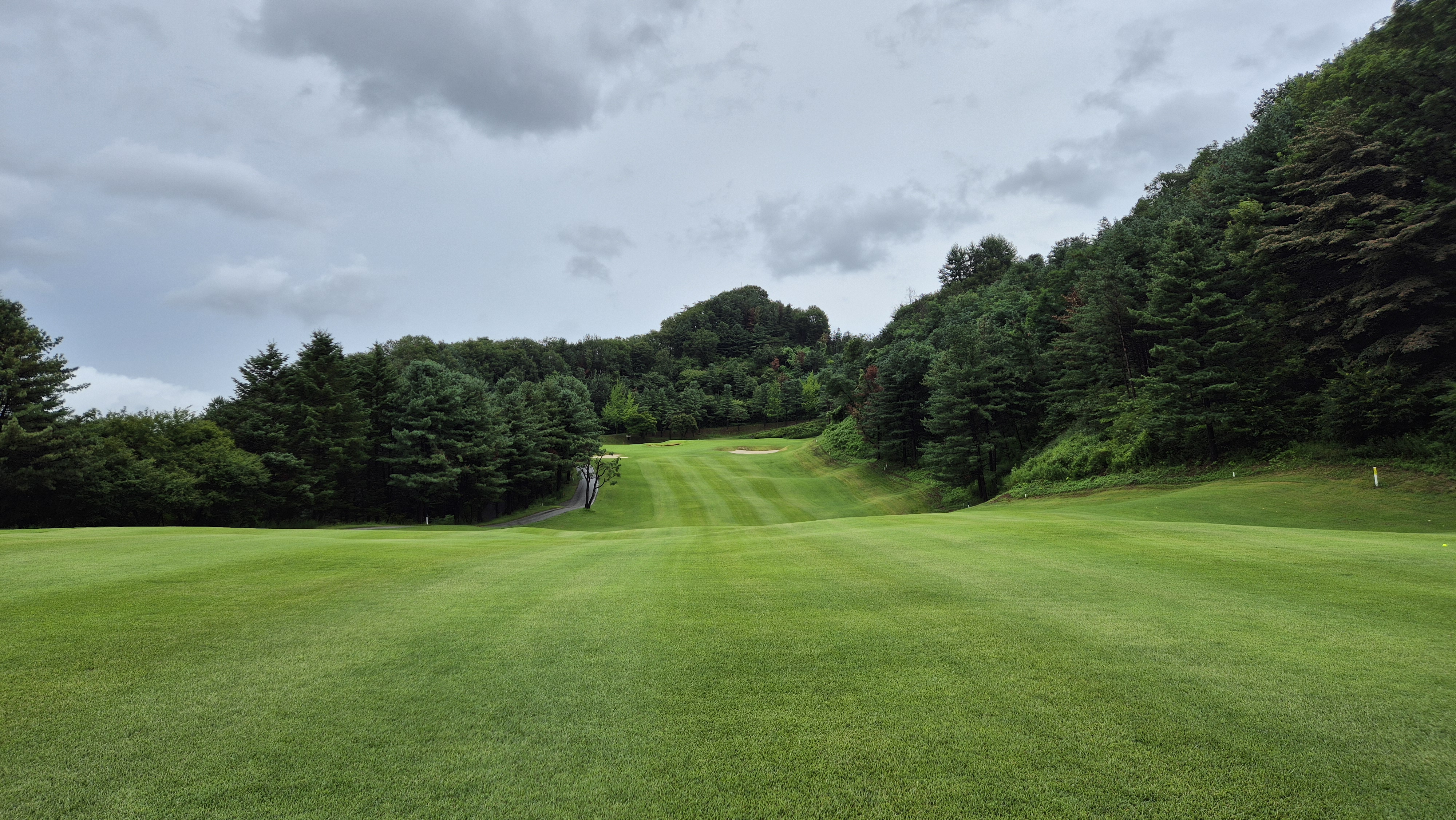 뉴서울cc 예술in-문화in 코스 사진 및 공략 정보