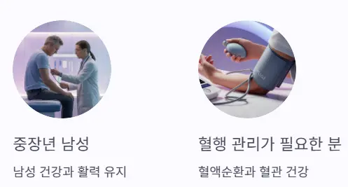 남성 혈행